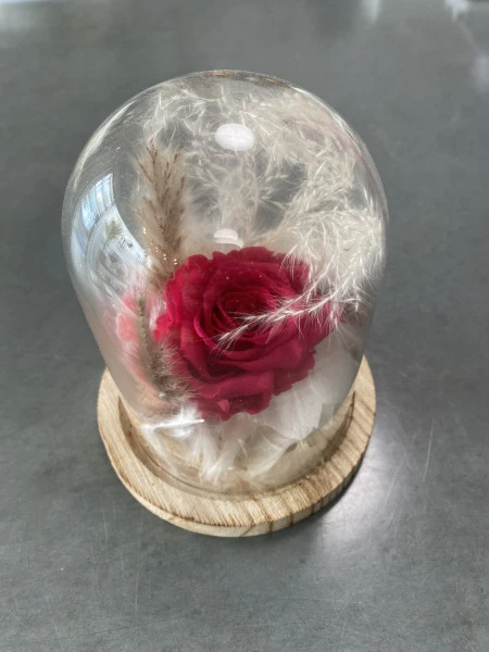 Rose éternelle fleurs séchées sous cloche 