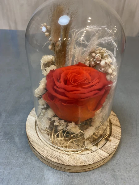 cloche de rose éternel