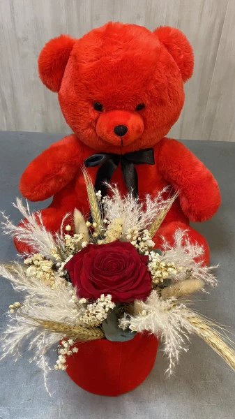 peluche rouge avec boite et rose éternel