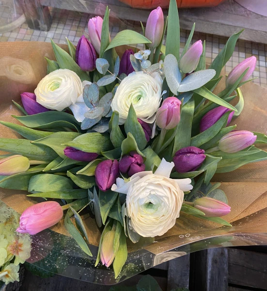 Tulipes violettes 